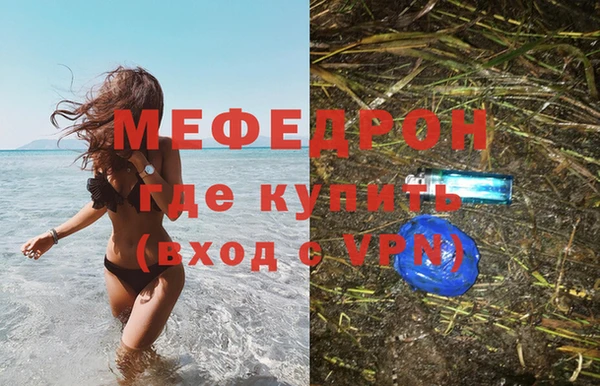 прущие грибы Медногорск